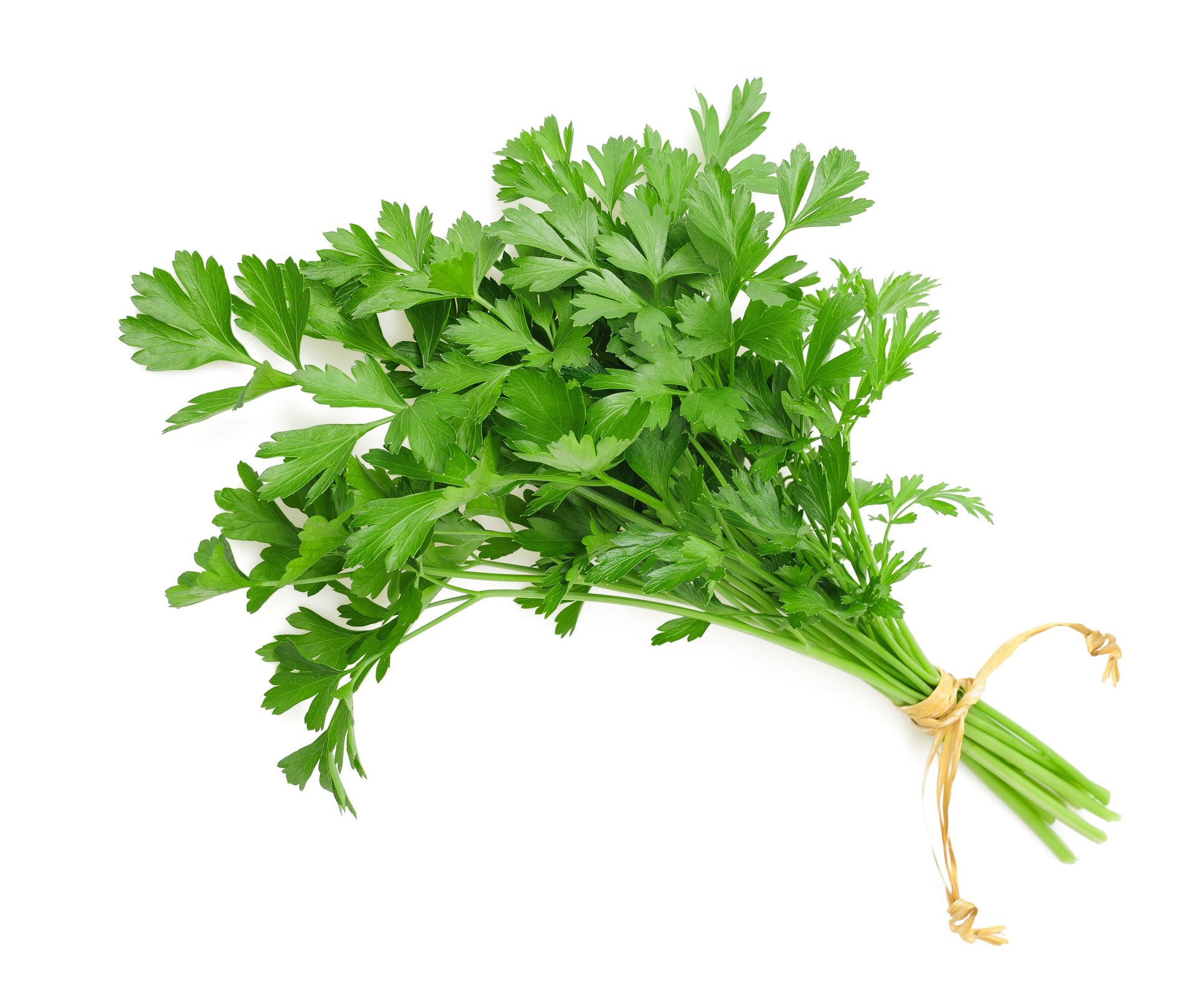 parsley bunch