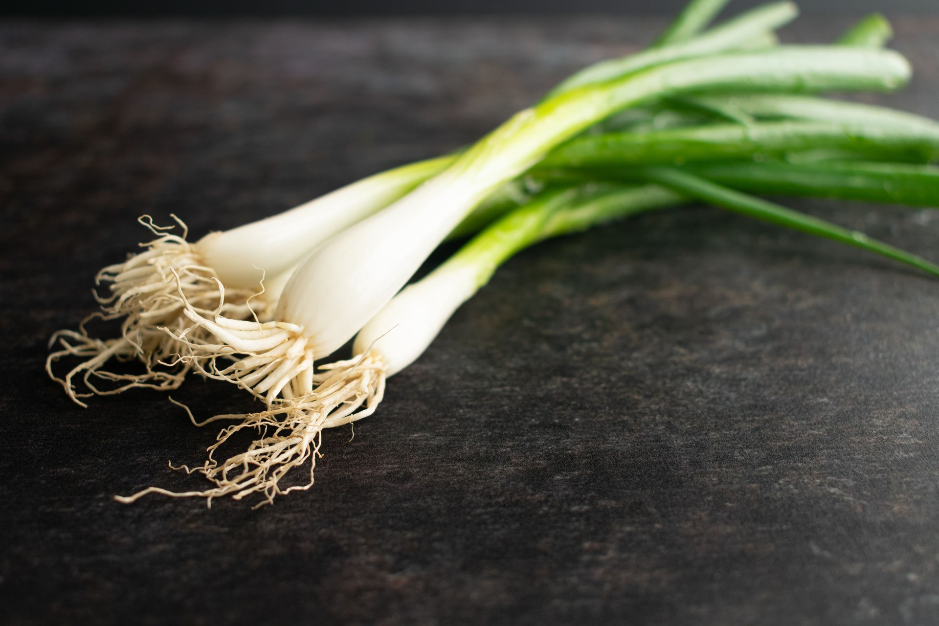 Close-up View of Scallion Roots and Bulbs