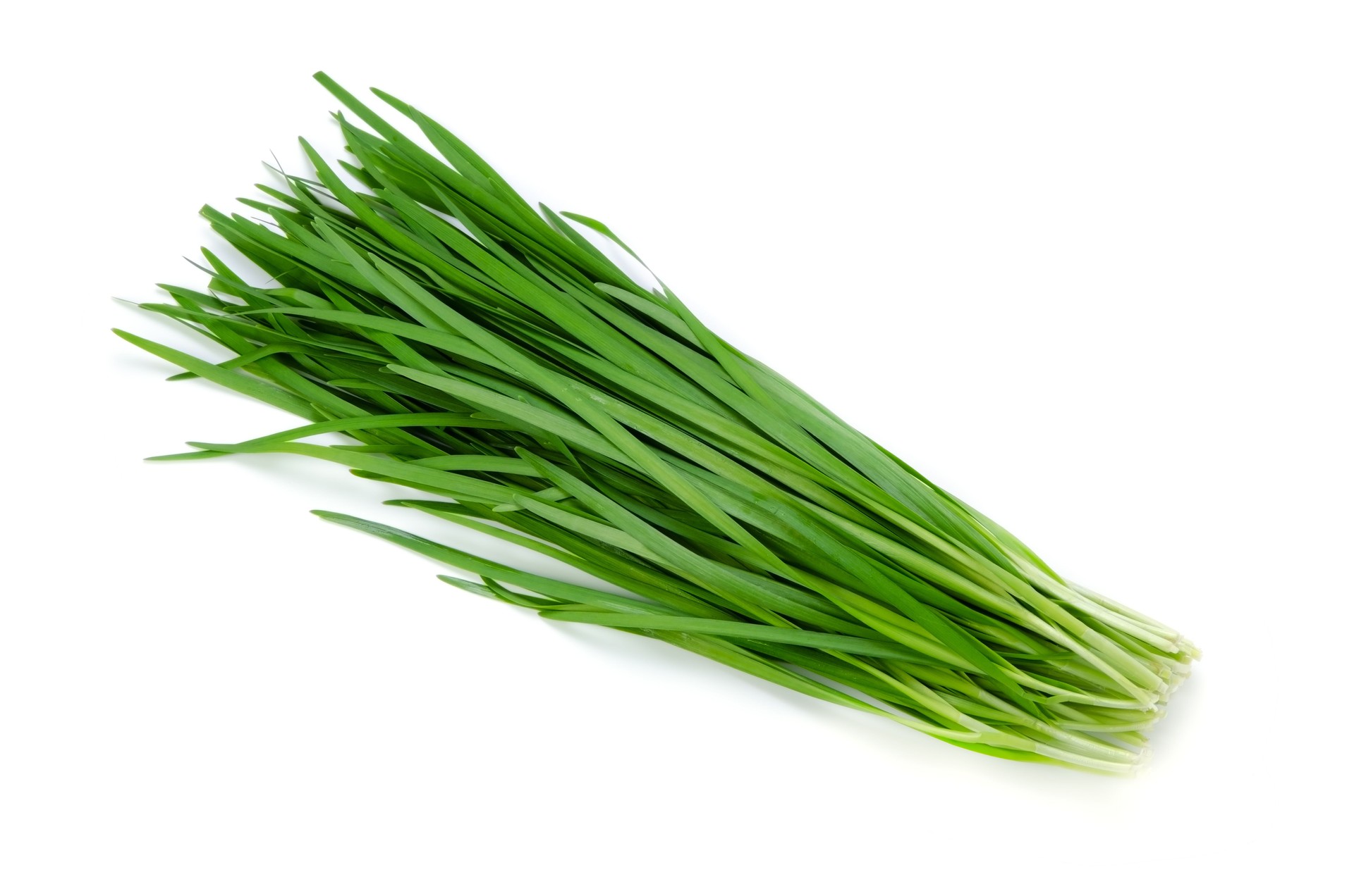 Garlic Chives