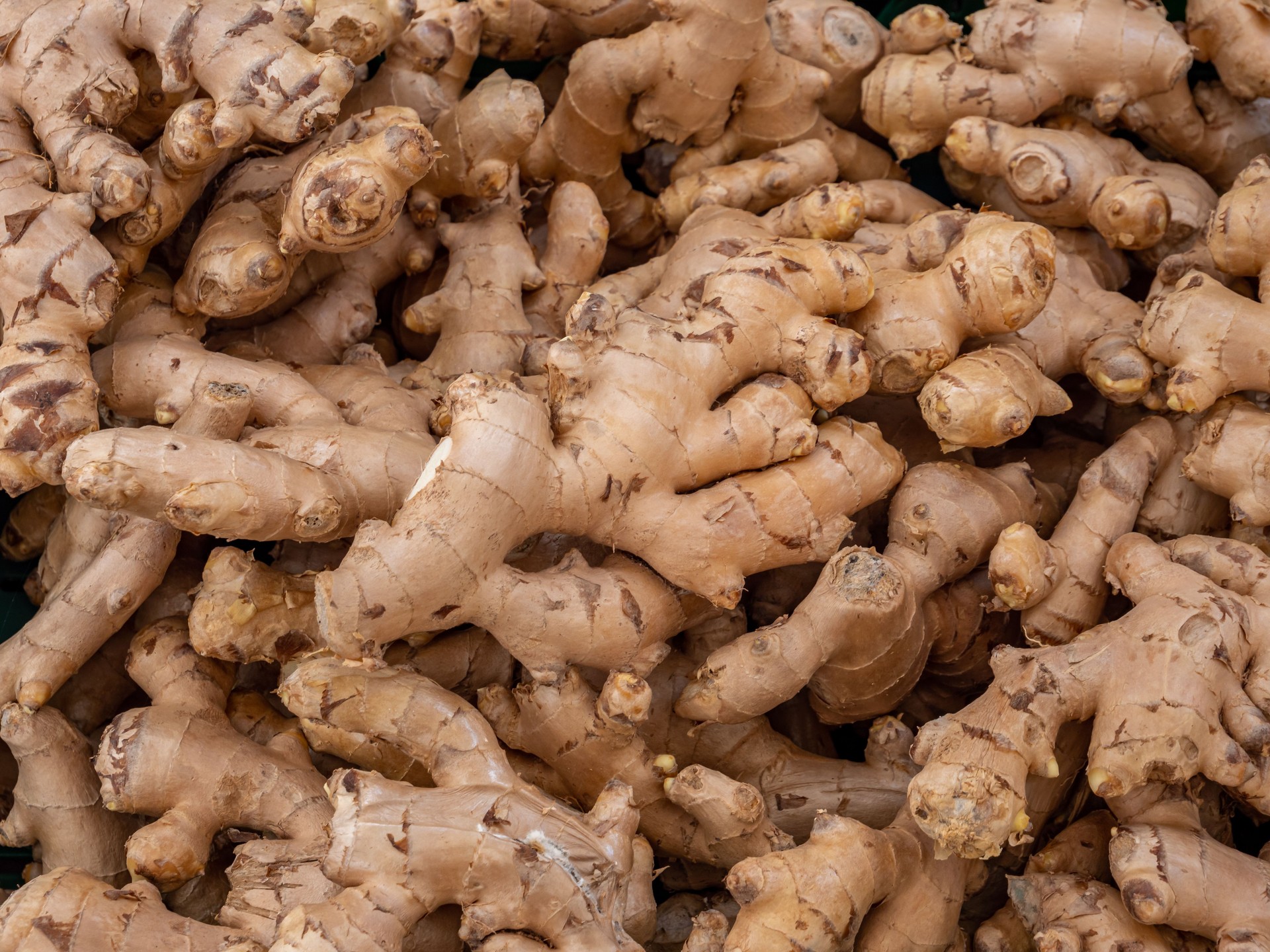 Organic ginger at the weekly market