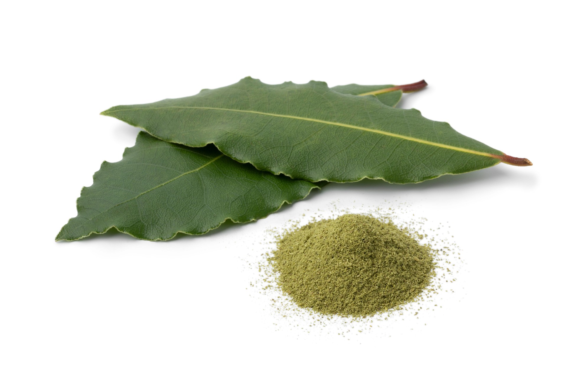 Fresh bay leaves and a heap of bay leaf powder close up on white background