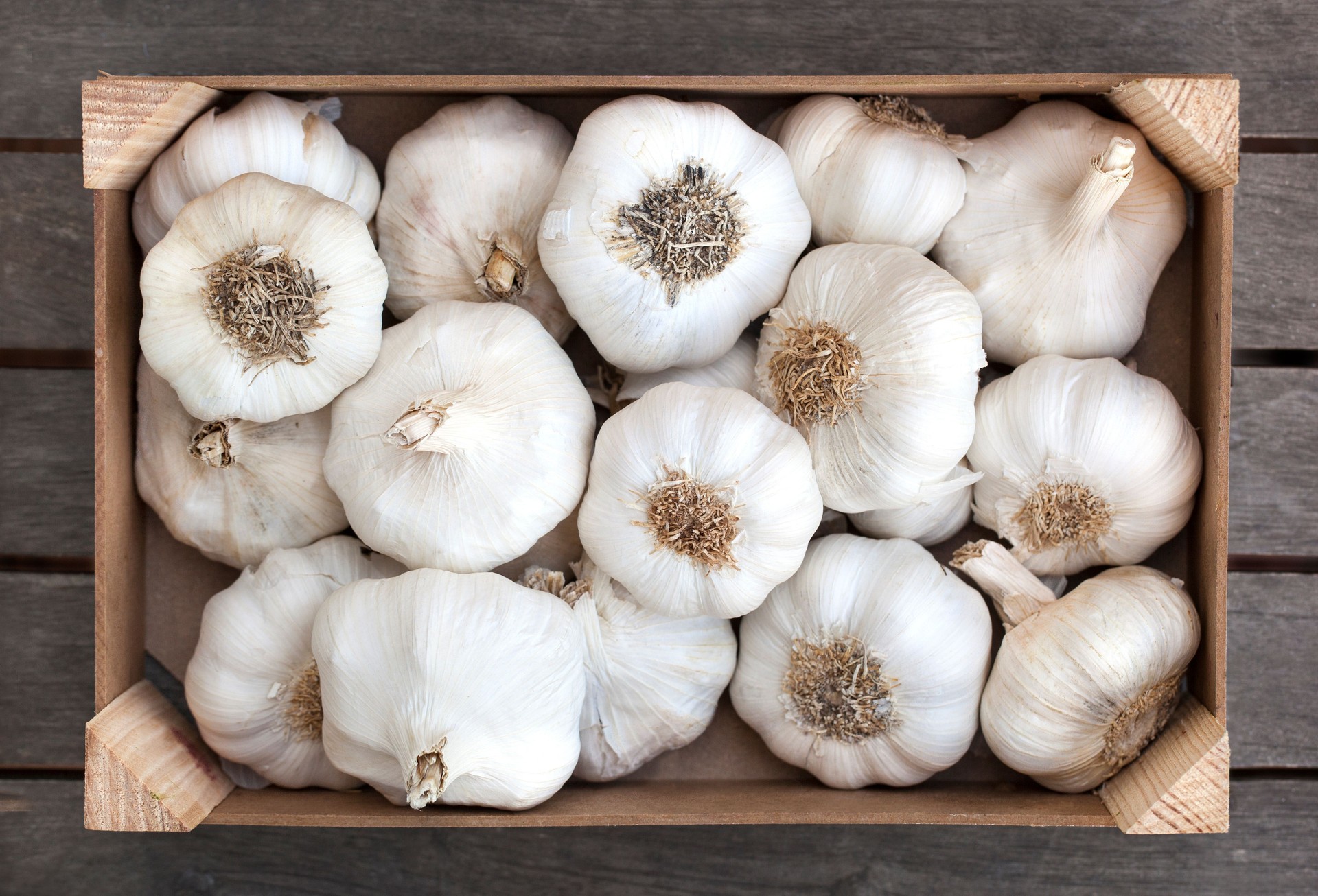 Box of garlic